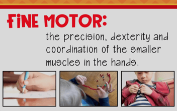 A slide with the text "Fine Motor: the precision, dexterity and coordination of the smaller muscles in the hands." above three photos of children using fine motor skills by writing, using beads, and using a zipper
