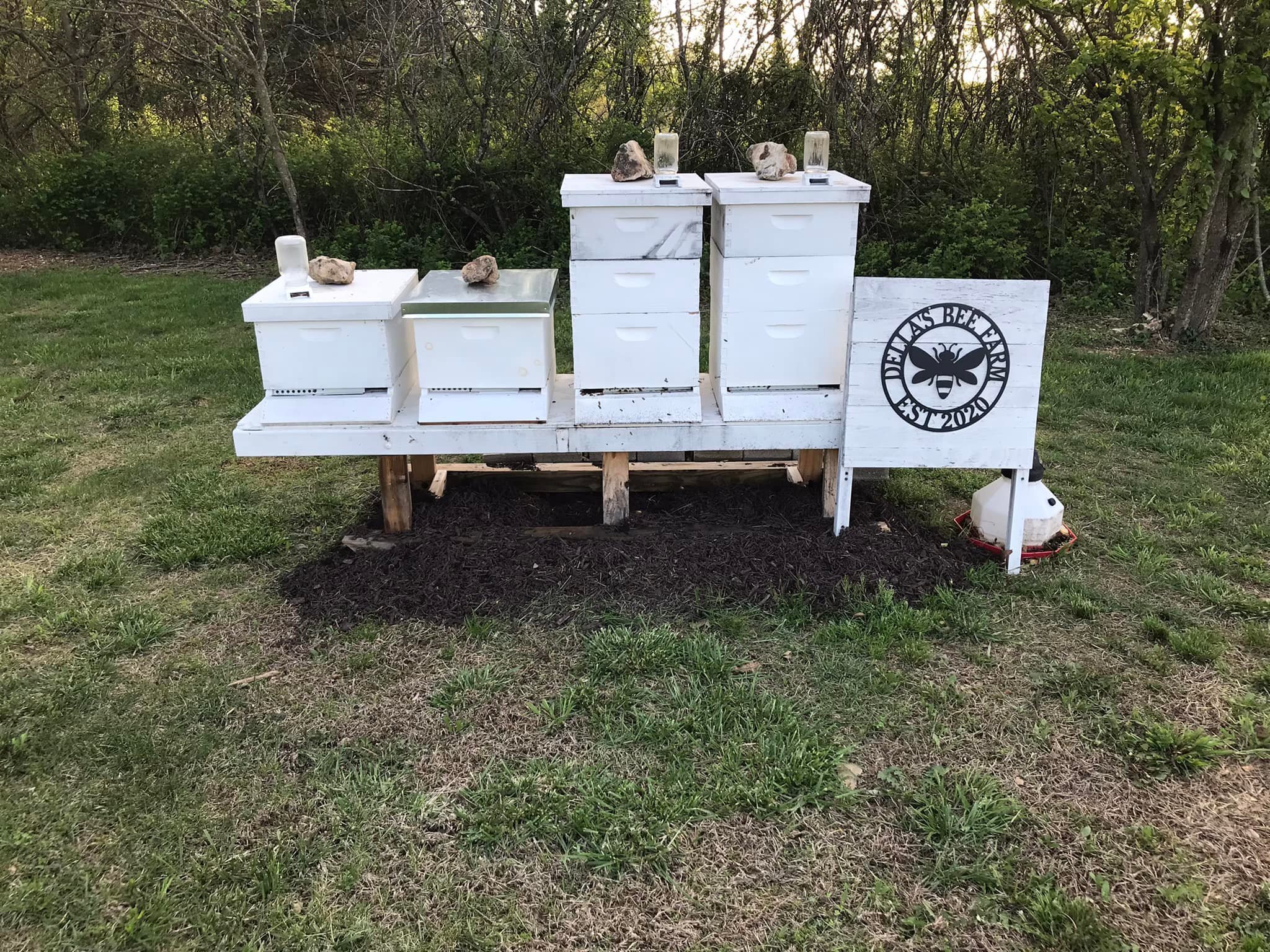 Multiple white bee boxes sit on a table in a yard