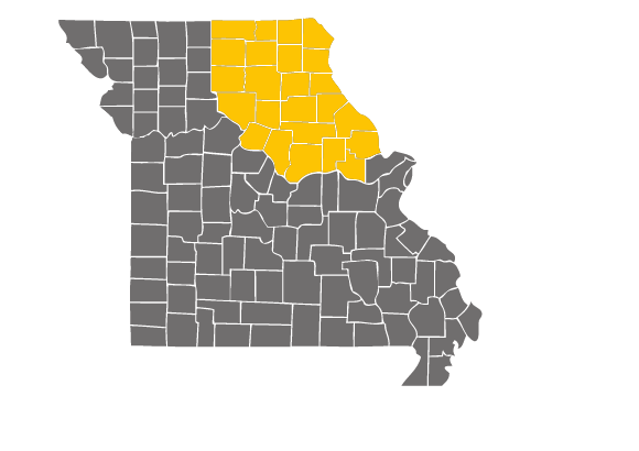 NE region 580x410