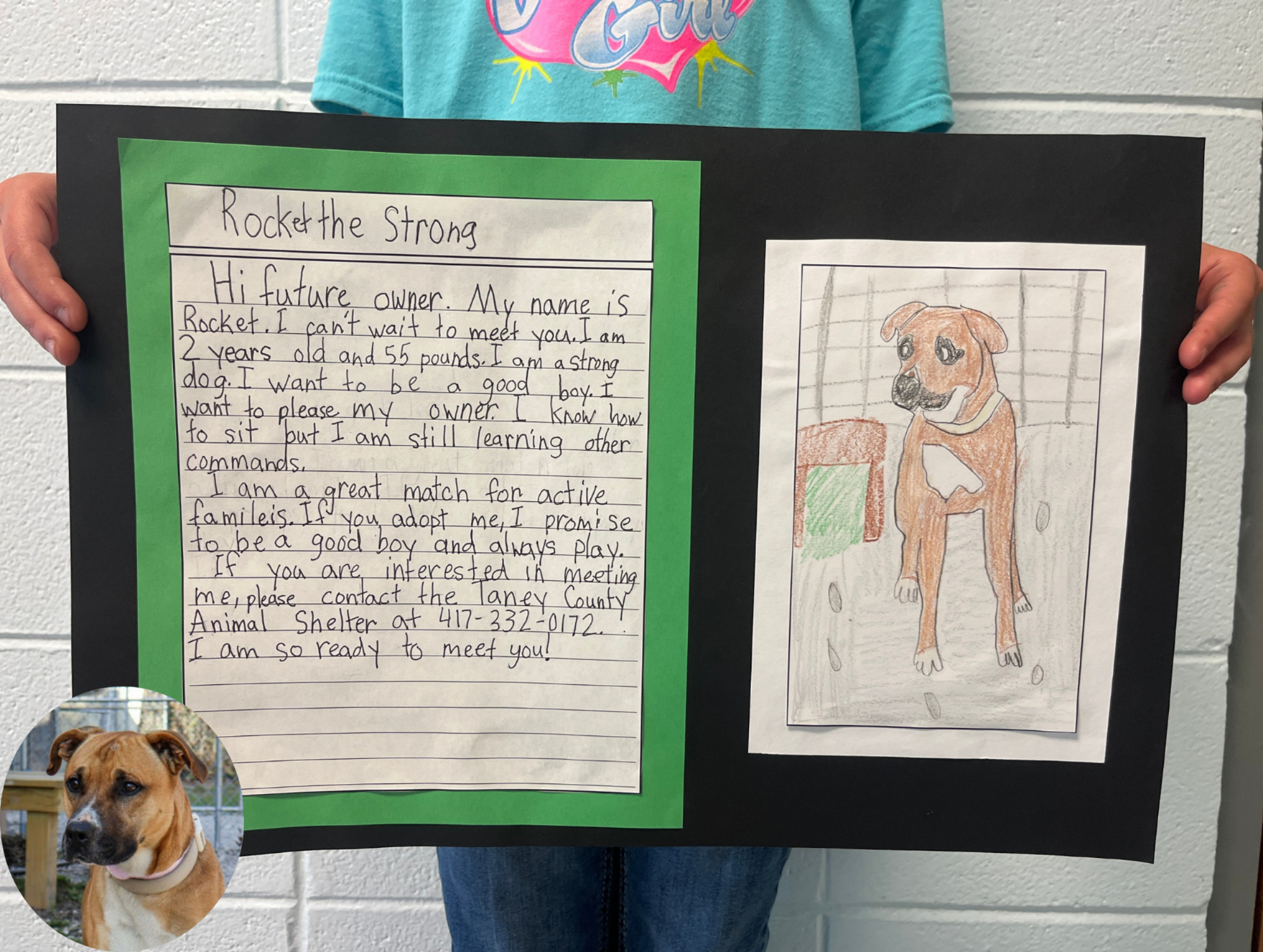 Student writing and drawing of a dog