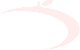 footer_logo