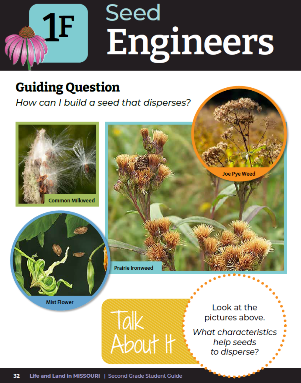 A screenshot from a magazine that shows multiple seeds with the text "Seed Engineers"